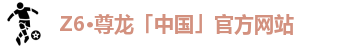 Z6·尊龙